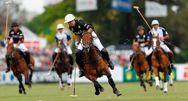 Argentina Polo